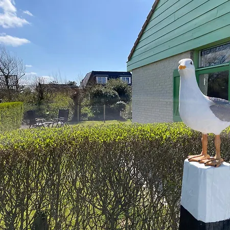 Albatros 226 * Julianadorp