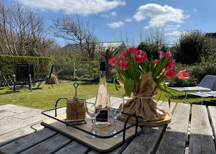 Albatros 226 Julianadorp