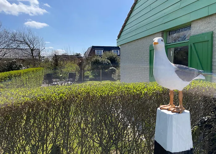 Albatros 226 * Julianadorp