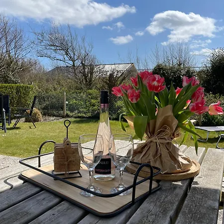 Albatros 226 줄리아나도르프